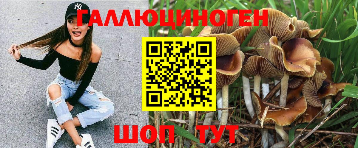 Галлюциногенные грибы мухоморы Сосновоборск