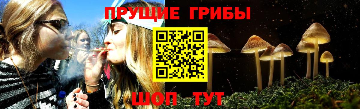 Сосновоборск  Галлюциногенные грибы Magic Shrooms  Вход с VPN  Псилоцибиновые грибы Cubensis 